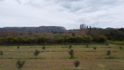 Stilos Kreta, Stilos: Charmantes ländliches Grundstück mit Bergblick zu verkaufen Grundstück kaufen